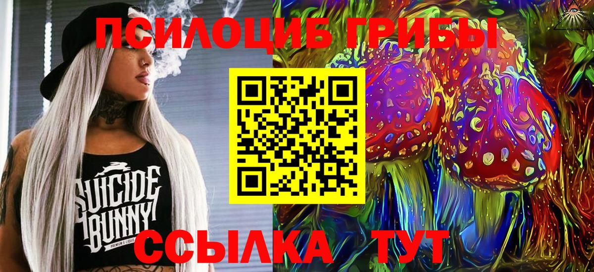 Галлюциногенные грибы Psilocybe  Вход с VPN  наркошоп  Тельмана 